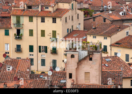 Maisons d'habitation de Lucques en Toscane, Italie Banque D'Images