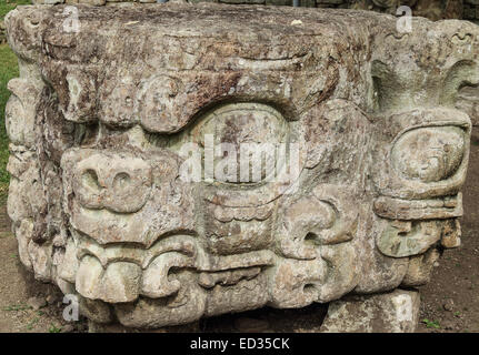 Pierres de Stella d'une tête d'animal à Copan, un site archéologique maya au Honduras et site du patrimoine mondial de l'unesco. Banque D'Images