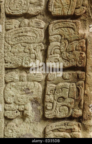 Les hiéroglyphes mayas dans les ruines de Copan, un site archéologique au Honduras et site du patrimoine mondial de l'unesco. Banque D'Images