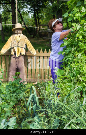 Illinois,Midwest,Decatur,Homestead Prairie Farm,Trobaugh-Good House,Rock Springs conservation Area,Heritage Garden,adultes femme femmes lad Banque D'Images