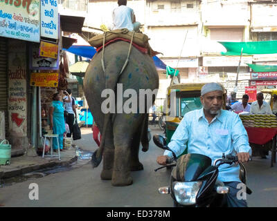 Éléphant dans les rues d'Ahmedabad Gujarat Inde Banque D'Images