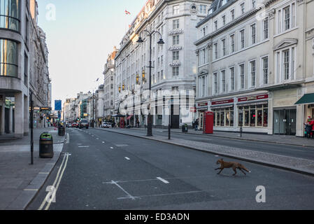 Londres, Royaume-Uni. Dec 25, 2014. Afox traverse le vide Strand à Londres le début de matin de Noël. Credit : Piero Cruciatti/Alamy Live News Banque D'Images