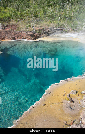 En Mélanésie, la Papouasie-Nouvelle-Guinée, Fergusson, l'Île Del Del Hot Springs. Sources chaudes volcaniques, la vapeur naturelle piscine bleue. Banque D'Images