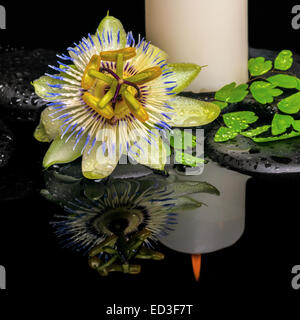 Spa still life of passiflora fleur, feuille verte avec drop de fougère et des bougies sur le zen stones dans l'eau, réflexion libre Banque D'Images