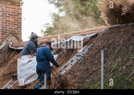 Deux hommes travaillant à remplacer le toit de chaume de l'Hinckley and District Museum building Banque D'Images