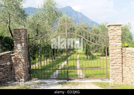 Porte de fer sur une oliveraie en Italie Banque D'Images