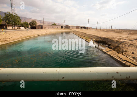 L'Arvin Edison le stockage de l'eau dans le district de la vallée centrale de la Californie, USA. Banque D'Images