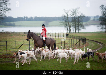 Le Staffordshire, au Royaume-Uni. Dec 26, 2014. Boxing Day annuel rencontrez des Meynell et personnel du Sud Hunt au Blethfield Hall, Staffordshire Banque D'Images