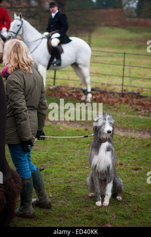 Le Staffordshire, au Royaume-Uni. Dec 26, 2014. Boxing Day annuel rencontrez des Meynell et personnel du Sud Hunt au Blethfield Hall, Staffordshire Banque D'Images