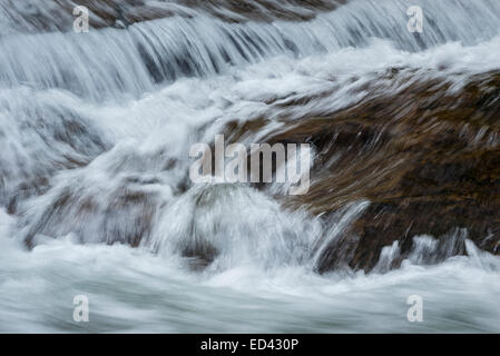 Cascades sur Sweet Creek, forêt nationale de Siuslaw, Oregon. Banque D'Images