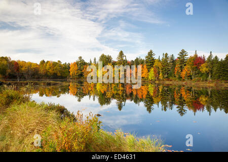 Pontook réservoir sur la rivière Androscoggin, le long de la Route 16 dans la région de Dummer, New Hampshire USA pendant les mois d'automne Banque D'Images