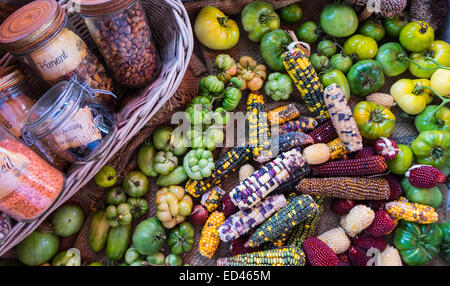 Bols de légumes secs dans des bocaux affiché avec tomates vertes et multi colored corn on the cob le chiffon sac Banque D'Images