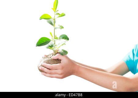 1 fille enfant indien Soins des plantes en pot Banque D'Images