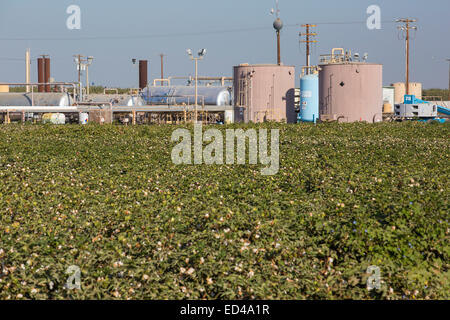 Un site de fracturation près de Bakersfield, Californie, USA. Banque D'Images