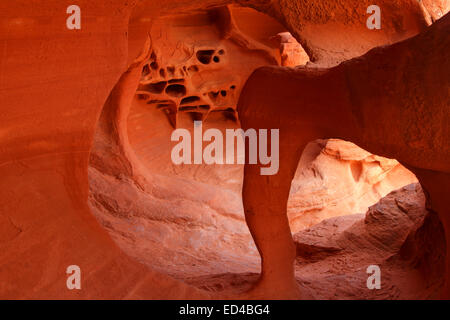 La Vallée de Feu State Park, près de Las Vegas, Nevada. Banque D'Images