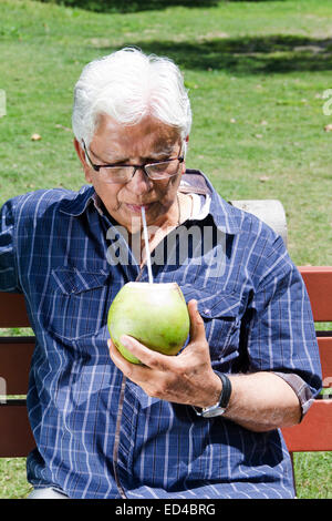 Vieil homme indien park Coconut Potable Banque D'Images