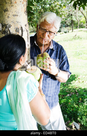 Vieux couple indien park Coconut Potable Banque D'Images