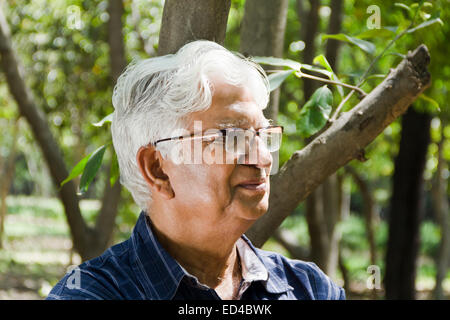 Vieil homme indien park Banque D'Images