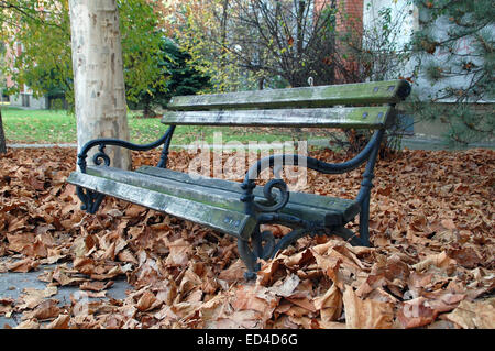 Banc en bois recouvert d'automne les feuilles tombées. Banc en face de l'immeuble. Banque D'Images