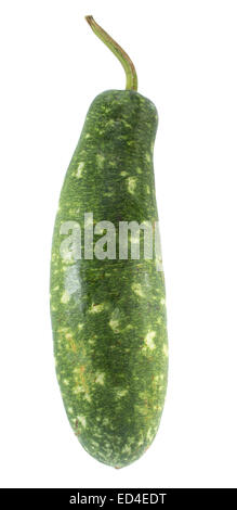 Green gourd Lagenaria vulgaris , des fruits sur fond blanc Banque D'Images