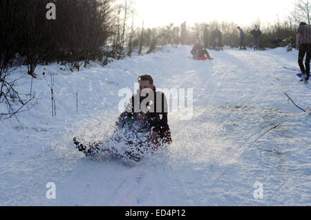 Hucknall, Nottinghamshire, Angleterre. 27 décembre 2014. Après la neige nuit belle journée ensoleillée idéale pour la famille de la luge sur l'ancienne mine de Linby, pointe aujourd'hui transformé en parc à un pays . Credit : IFIMAGE/Alamy Live News Banque D'Images