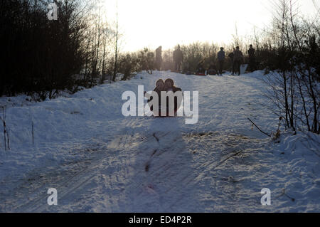 Hucknall, Nottinghamshire, Angleterre. 27 décembre 2014. Après la neige nuit belle journée ensoleillée idéale pour la famille de la luge sur l'ancienne mine de Linby, pointe aujourd'hui transformé en parc à un pays . Credit : IFIMAGE/Alamy Live News Banque D'Images