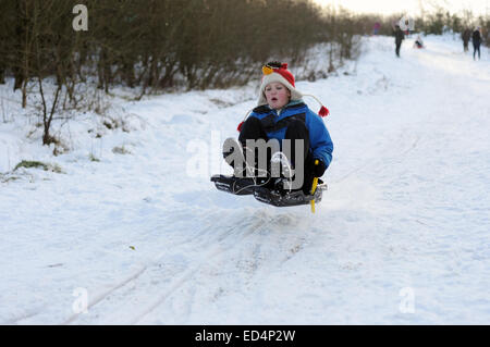 Hucknall, Nottinghamshire, Angleterre. 27 décembre 2014. Après la neige nuit belle journée ensoleillée idéale pour la famille de la luge sur l'ancienne mine de Linby, pointe aujourd'hui transformé en parc à un pays . Credit : IFIMAGE/Alamy Live News Banque D'Images