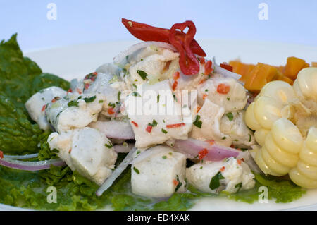 L'un des plats les plus délicieux de la Sanctuary Lodge sont les épinards blanchis avec les oignons et l'ail, sans parler de la CEVI pejerey Banque D'Images