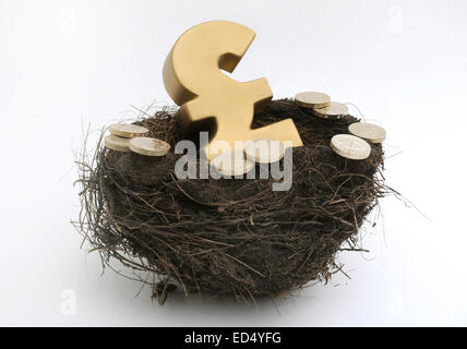 BRITISH POUND SIGN IN BIRDS NEST AVEC PIÈCES LIVRE RE L'ÉCONOMIE D'ÉPARGNE RETRAITE NEST EGG LES PENSIONS DES RETRAITÉS DE L'ARGENT COMPTANT UK Banque D'Images