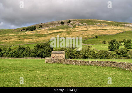 Les vues de Gunnerside dans Swaledale, dans le Yorkshire Dales National Park, North Yorkshire Banque D'Images