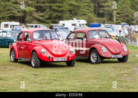 Deux voitures Volkswagen Coccinelle rouge sur l'affichage lors d'un rassemblement à Pembrey, Carmarthenshire, Pays de Galles, en octobre 2014. Banque D'Images