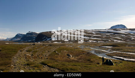 La section nord de la Kungsleden sentier pédestre, dans le Nord de la Suède entre Abisko et Nikkaluokta / Kebnekaise Banque D'Images