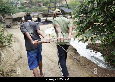 Tirez les mineurs de la mine au lever du pétrole brut à partir du puits manuellement dans l'exploitation minière pétrole traditionnel dans Kedewan Bojonegor sous-district, Banque D'Images