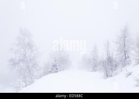 Pente enneigée avec des bouleaux dans un jour brumeux et brumeux. Fond blanc, pur, la composition minimaliste. Alpes occidentales, Pied Banque D'Images