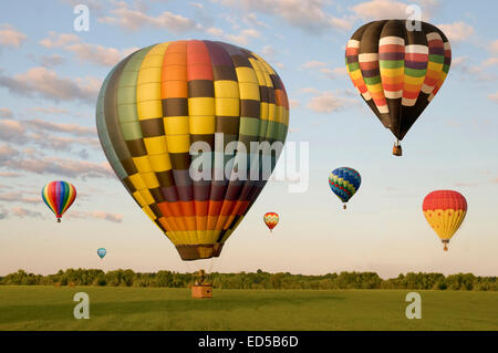 Divers ballons à air d'atterrissage dans un champ. On est sur le terrain. D'autres sont flottantes. Banque D'Images