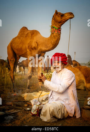 Chamelier indiennes portant un turban assis au feu de camp avec des chameaux de rire Banque D'Images