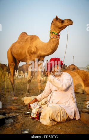 Chamelier indiennes portant un turban assis au feu de camp avec des chameaux Banque D'Images