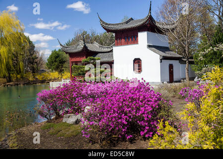 Jardin Chinois dans le Jardin botanique de Montréal, Montréal, Québec, Canada. Banque D'Images