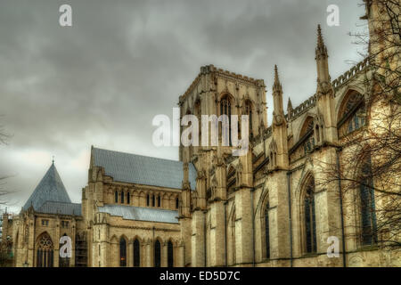 De toute évidence, dans la cathédrale de York York, North Yorkshire. Banque D'Images