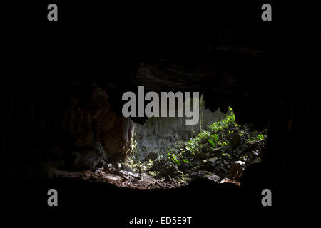 Entrée de Lang's Cave dans le parc national du Gunung Mulu au Sarawak, Malaisie Banque D'Images