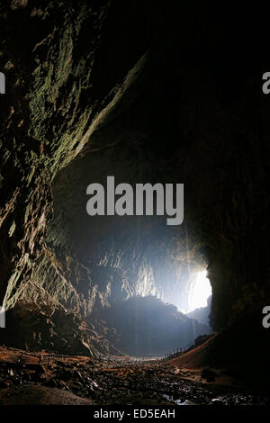 Grotte de cerfs dans le parc national du Gunung Mulu au Sarawak, Malaisie Banque D'Images