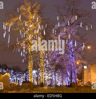 Moscou - le 30 décembre 2013 : les arbres illuminés pour Noël et Nouvel An vacances sur place Pushkinskaya. Banque D'Images