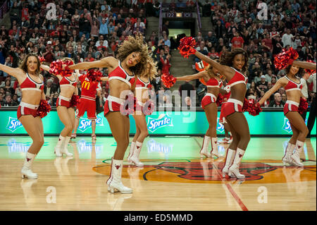 Chicago, USA. 27 décembre 2014. New Orleans Pelicans jouer les Chicago Bulls à l'United Center. Score final, pélicans, 100 107 taureaux. Sur la photo : Bulls' cheerleaders, le Luvabulls, de divertir la foule. Crédit : Stephen Chung/Alamy Live News Banque D'Images