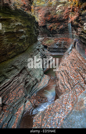 Les Gorges à Watkins Glen State Park à New York Banque D'Images