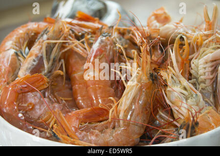 Les poissons méditerranéens typiques et traditionnelles : langoustines , gambas et dorades Banque D'Images