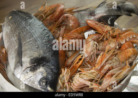 Les poissons méditerranéens typiques et traditionnelles : langoustines , gambas et dorades Banque D'Images