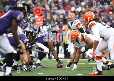 Baltimore, Maryland, USA. 28th Dec, 2014. Baltimore Ravens mascots 'Rise' (L)  and 'Conquer' before the game against the Cleveland Browns on December 28,  2014 at M&T Bank Stadium. © Debby Wong/ZUMA Wire/Alamy