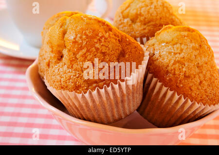 Une assiette avec quelques madeleines, muffins, plaine espagnol typique sur un tableau statistique Banque D'Images