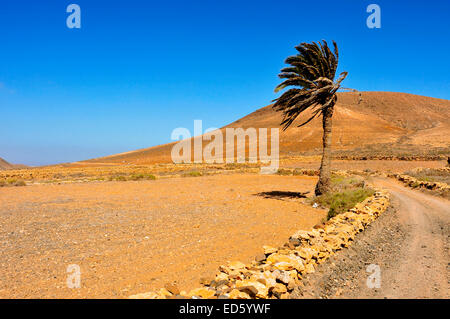 Vue sur la montagne Tindaya à La Oliva, Fuerteventura, Îles Canaries, Espagne Banque D'Images