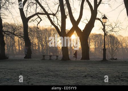 Preston, Lancashire, Royaume-Uni. 29 Décembre, 2014. Météo britannique. Une famille promènent leurs chiens dans la région de Preston's Avenham Park brave gel. Crédit : Paul Melling/Alamy Live News Banque D'Images